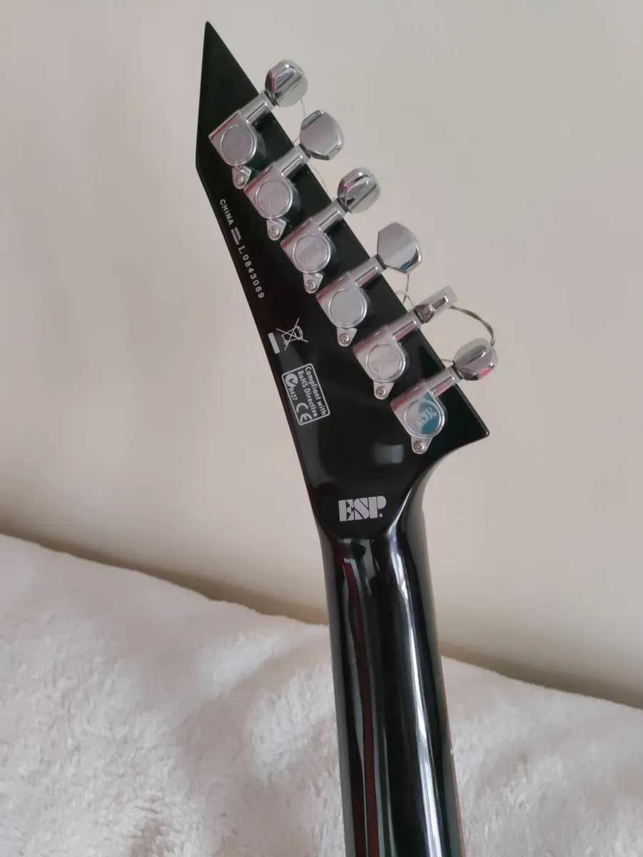 ESP EX-50 with hard body case - Image 2