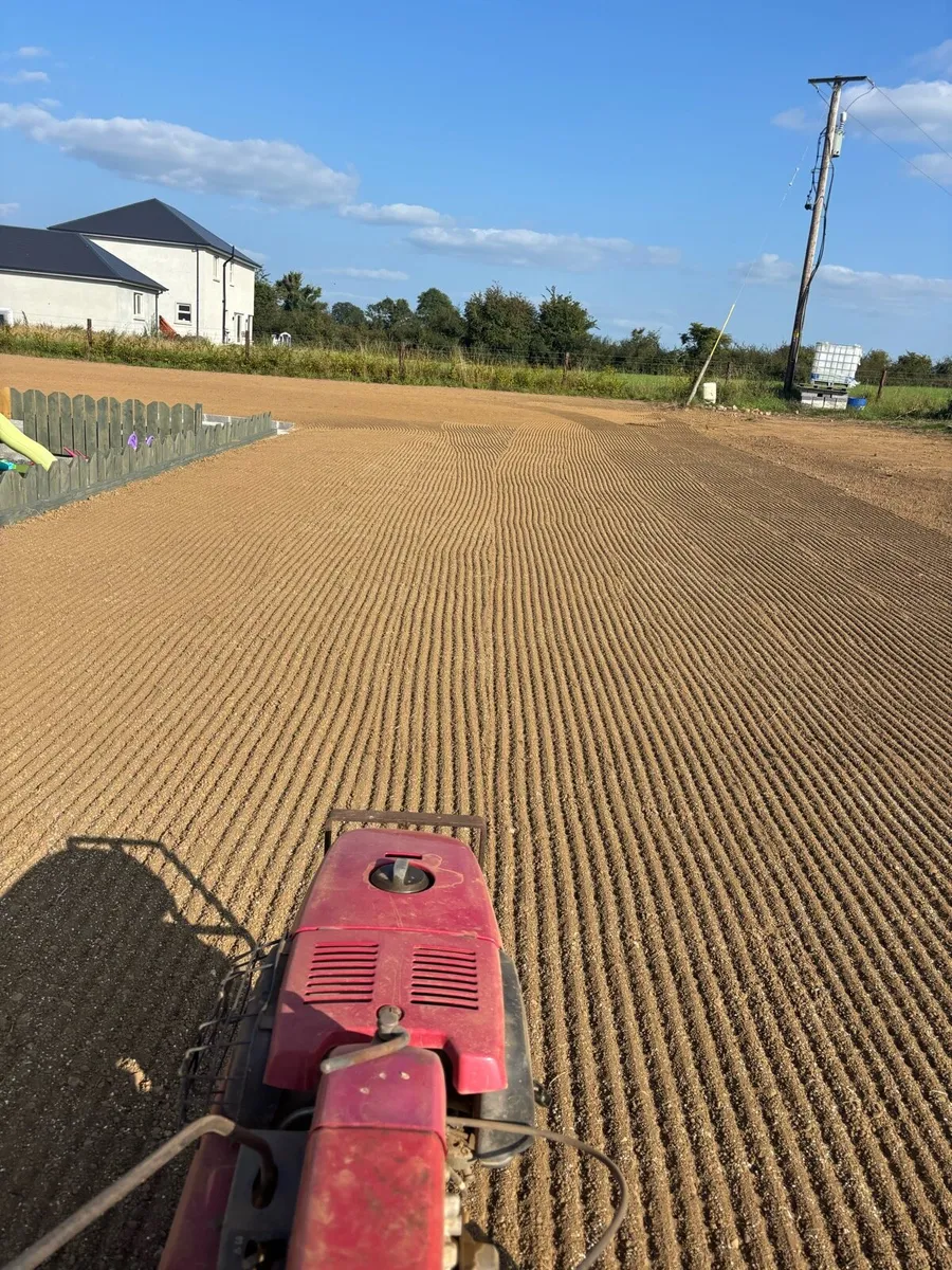 Professional lawn seeding - Image 4