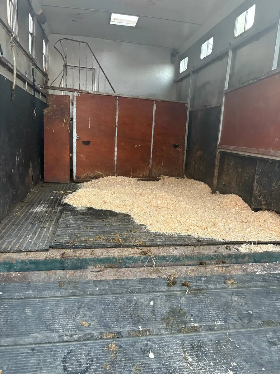 Horsebox - Image 2