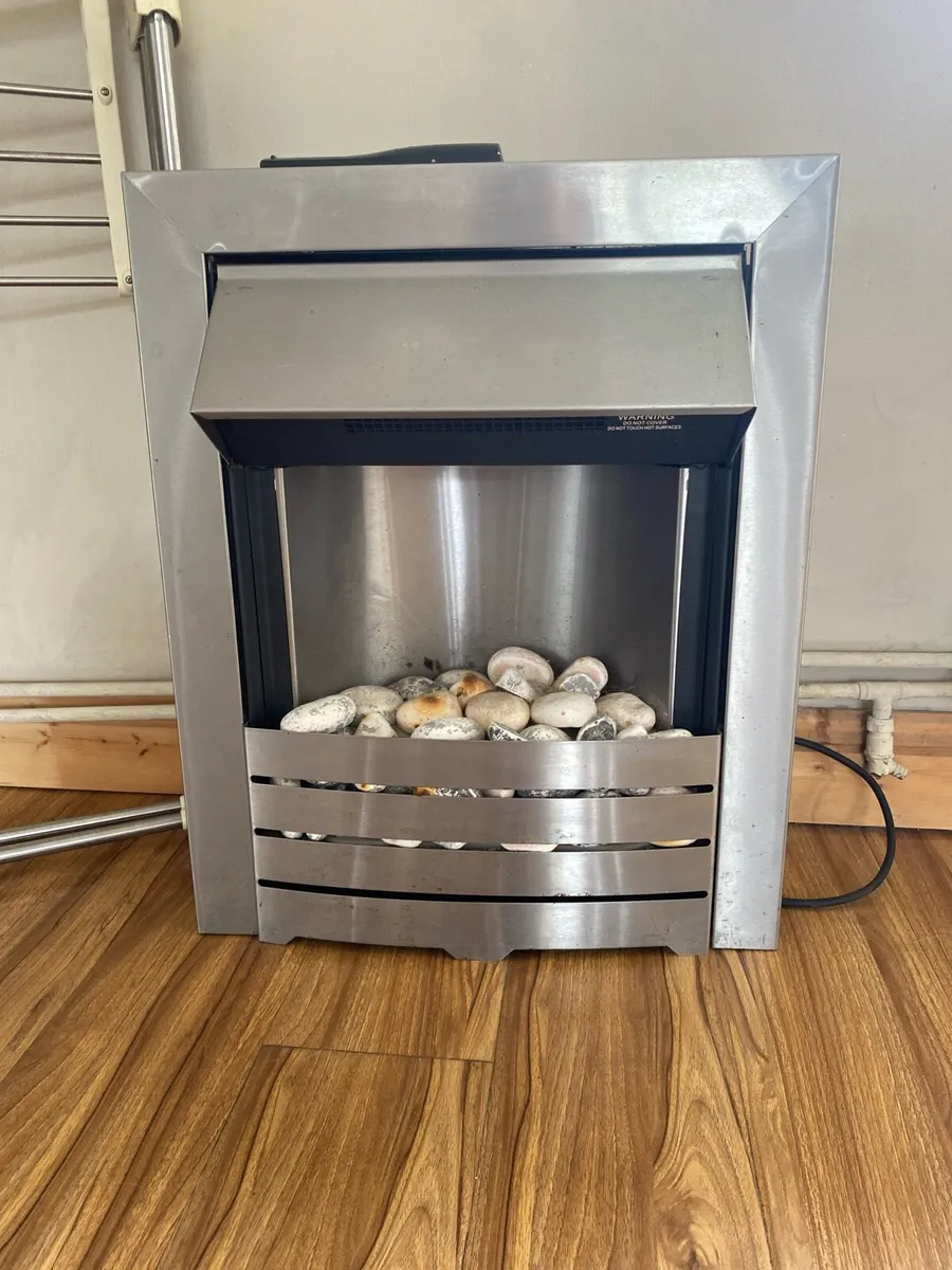 Electric fire