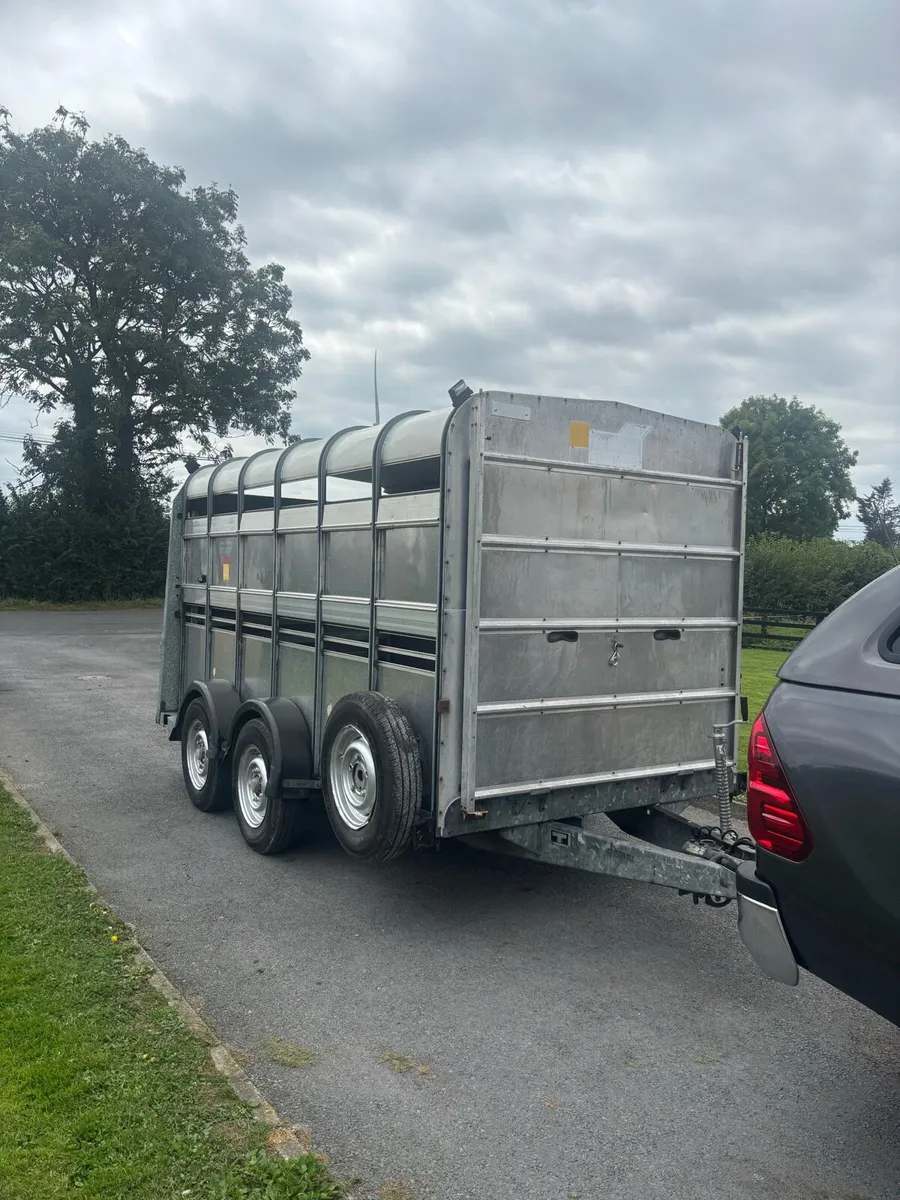 Iforwilliams cattle trailer - Image 2