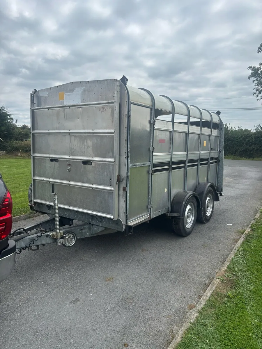 Iforwilliams cattle trailer - Image 3