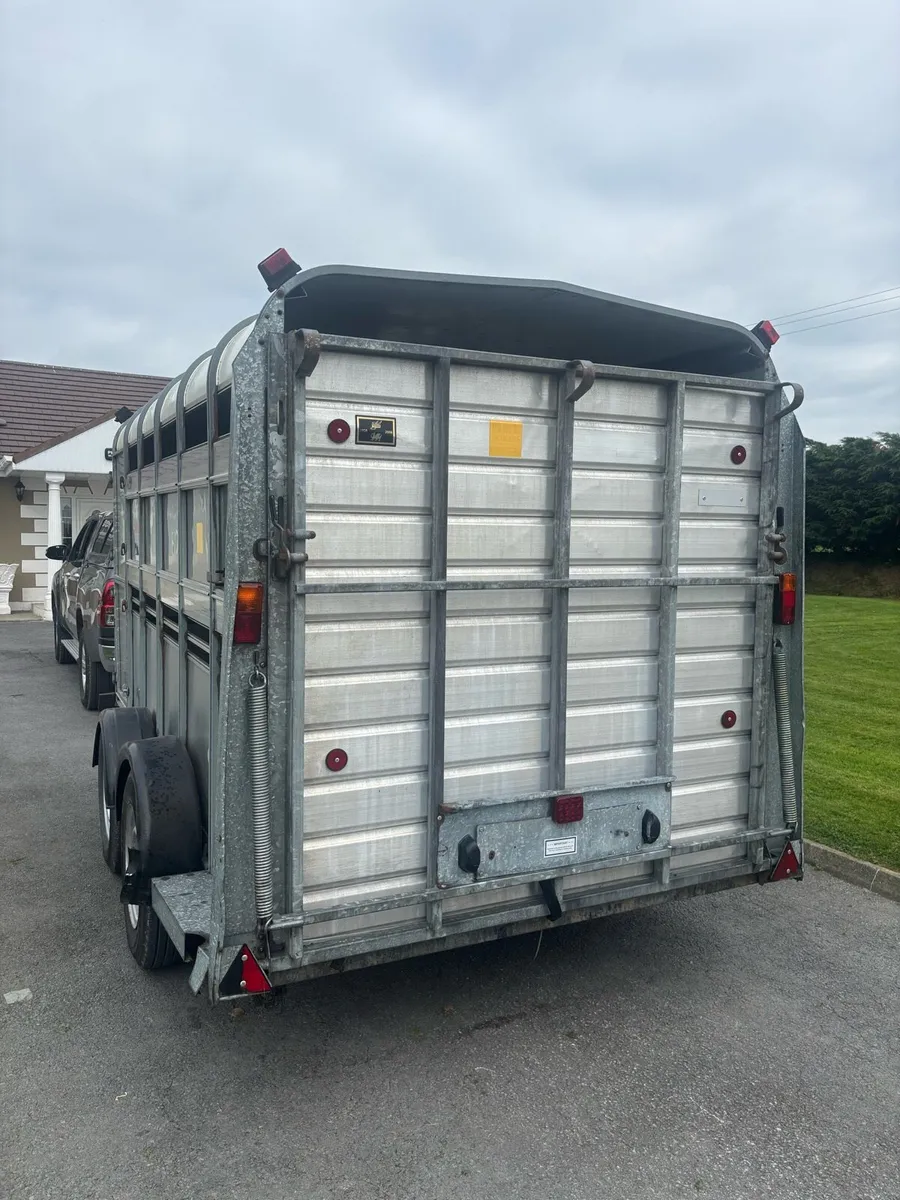 Iforwilliams cattle trailer - Image 4