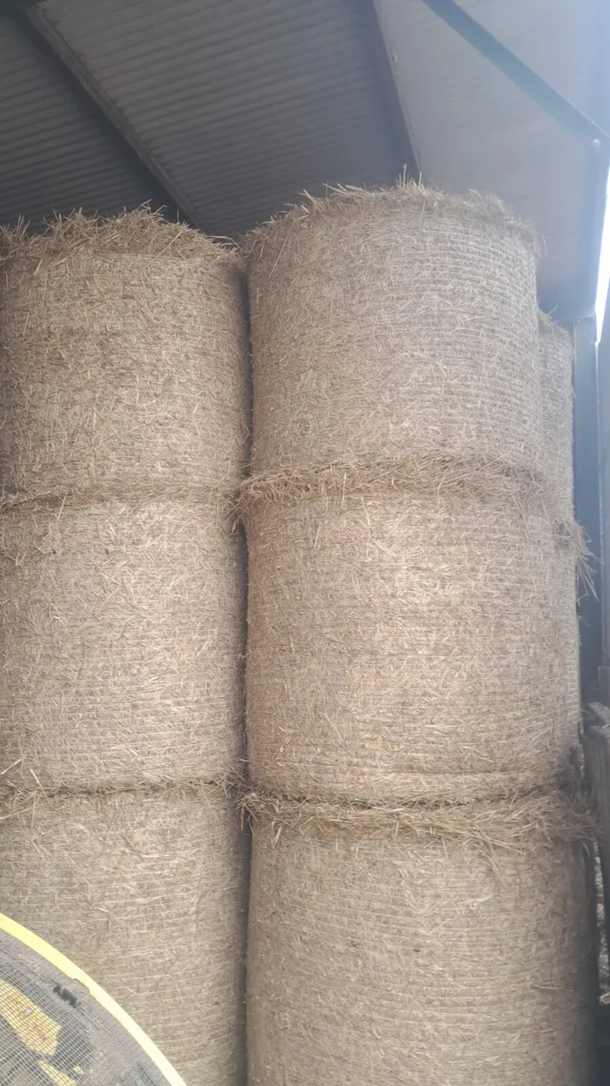 Wheaten straw delivered - Image 1