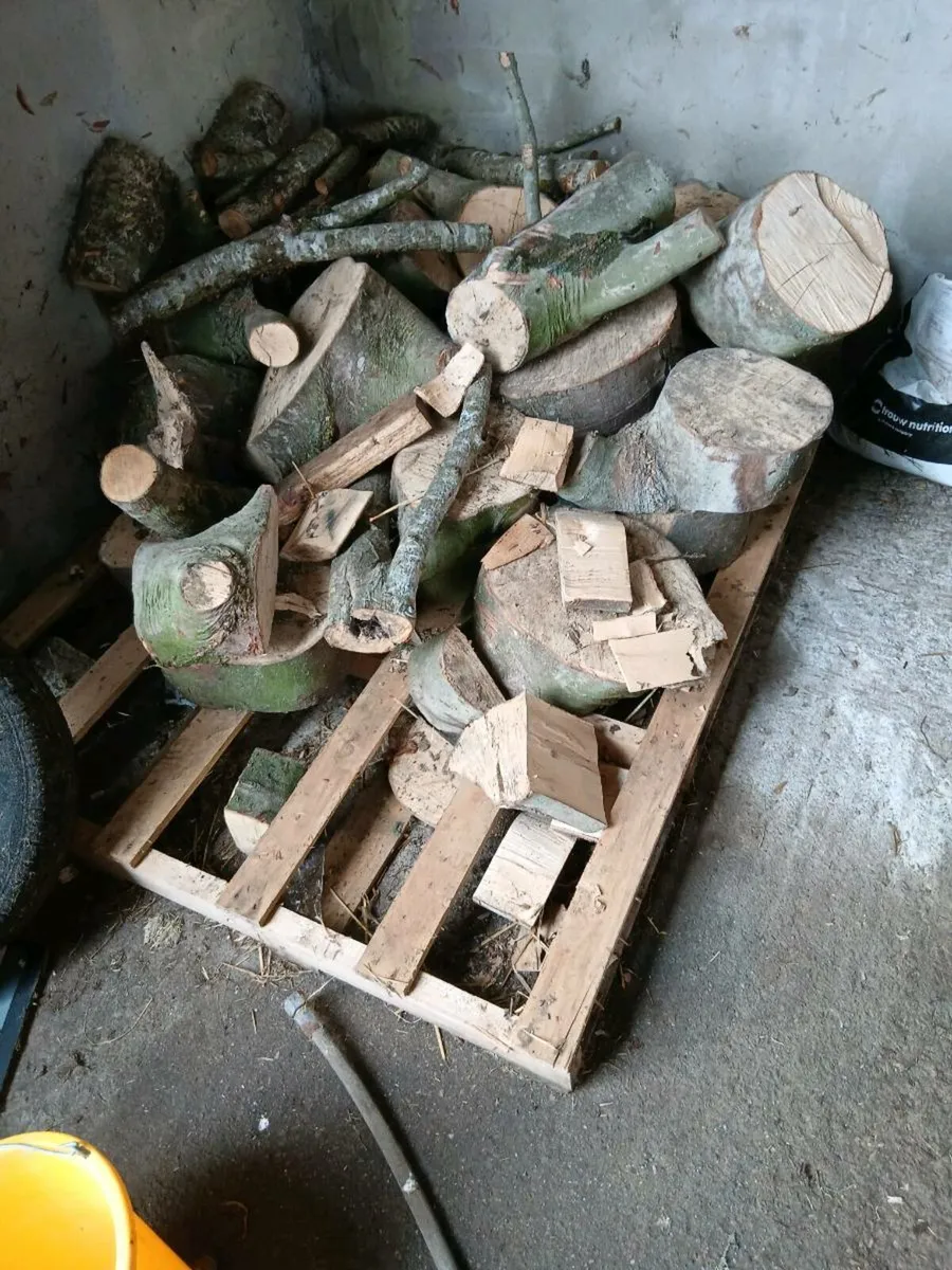 Fire logs