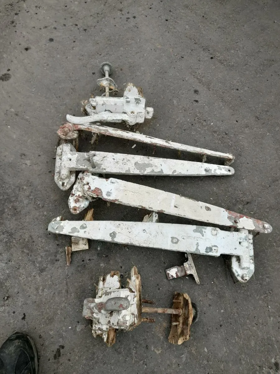 Old hinges