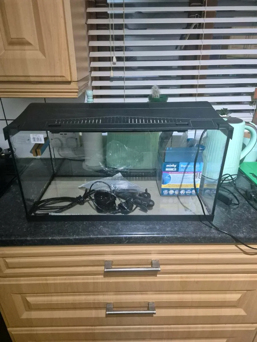 Fish tank - Image 3