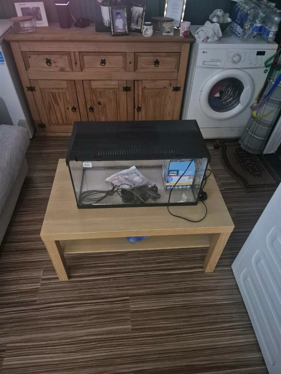 Fish tank - Image 4