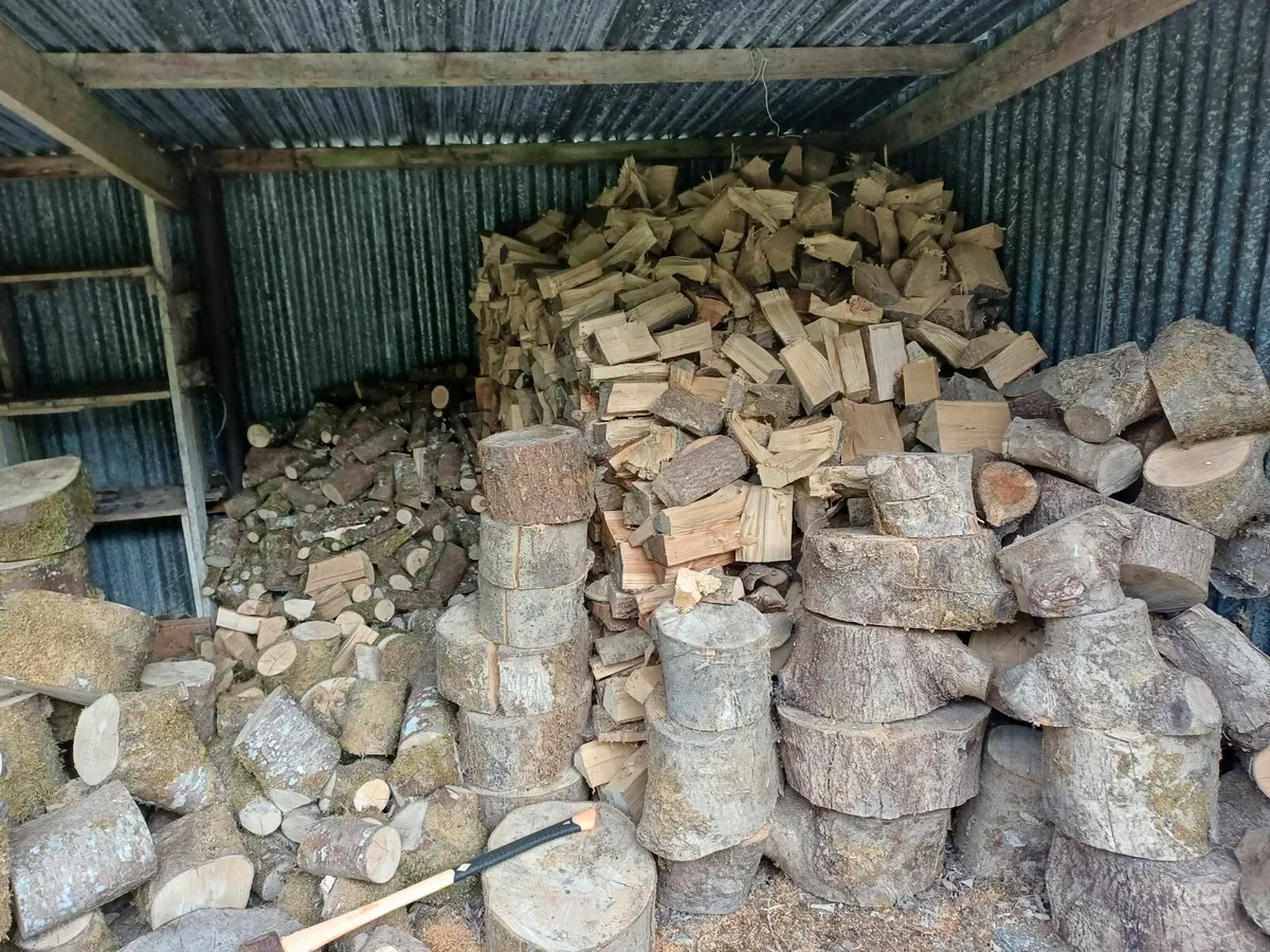 Firewood - Image 2