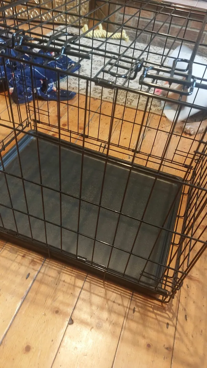 Dog crate Inishowen