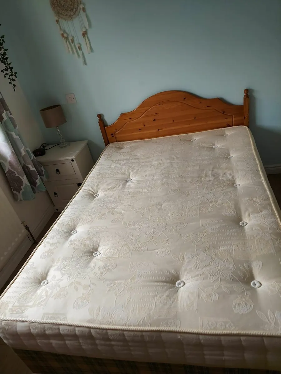 Double Bed frame with spring bed to collect (Free) - Image 3