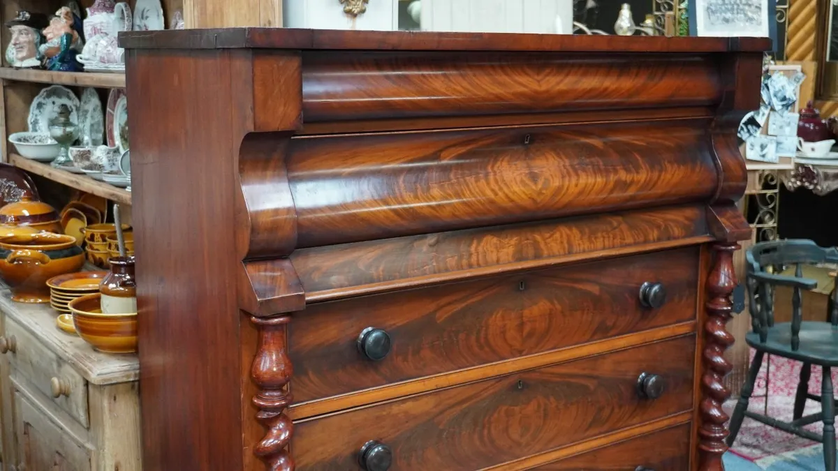 Antique 19th Century Mahogany Scotch Chest - Image 3