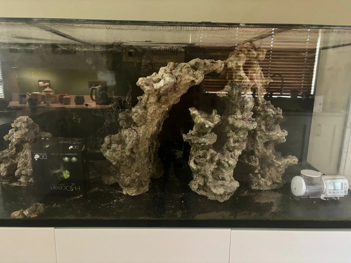 Aqua Roche Aquarium Rock 3 pieces left 60 euros - Image 2