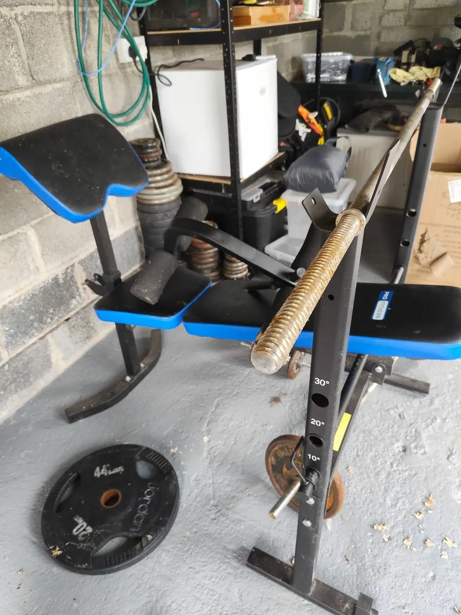 Weight Bench and Weights - Image 1