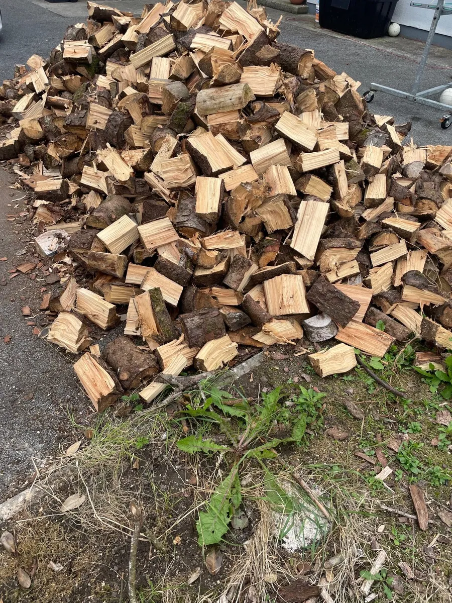 Timber for sale 10 x 5 trailer