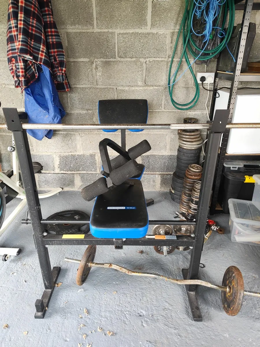 Weight Bench and Weights - Image 2