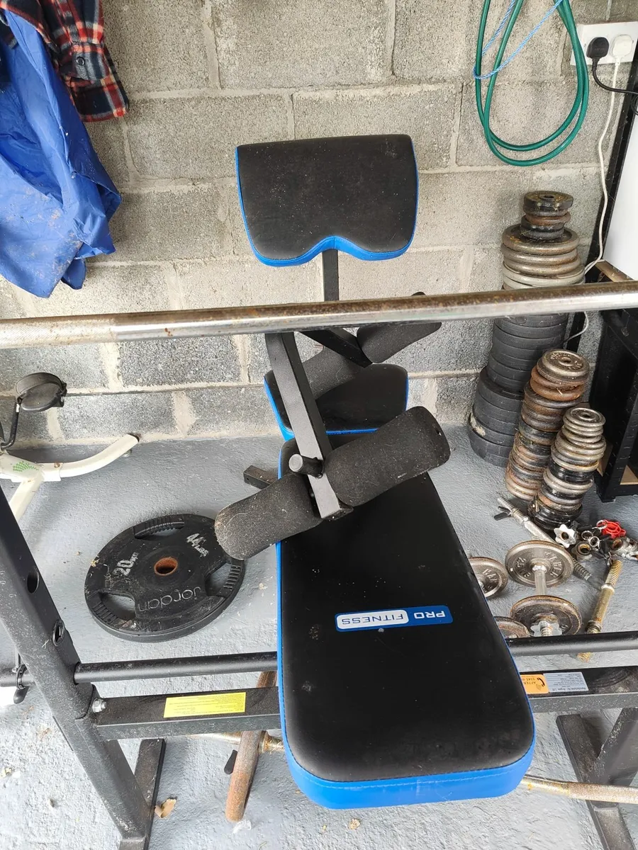 Weight Bench and Weights - Image 3