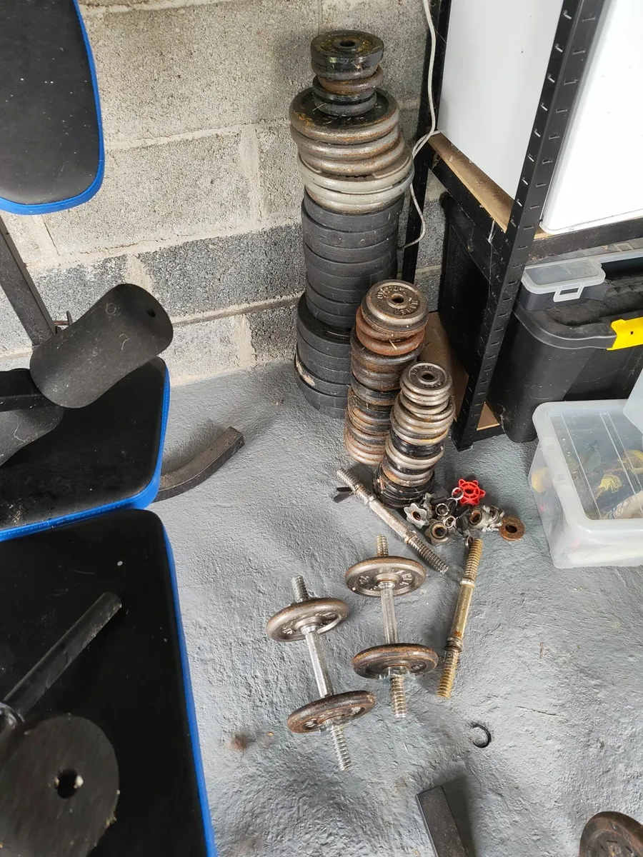 Weight Bench and Weights - Image 4