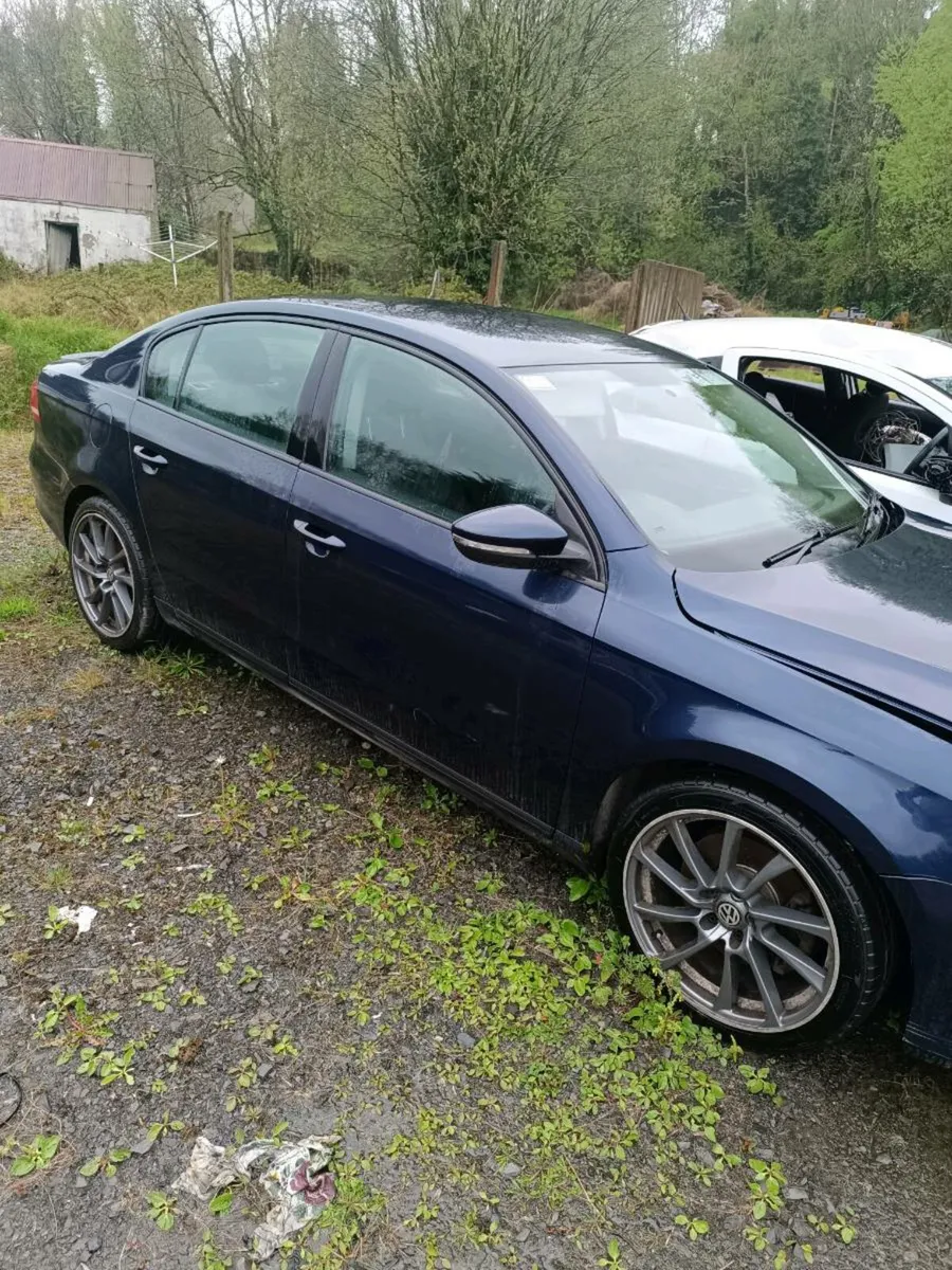 Passat breaking - Image 1