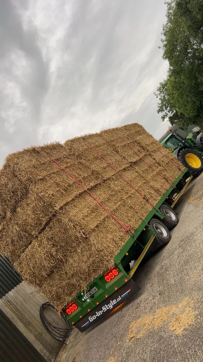 Milled wheaten straw for feeding - Image 2