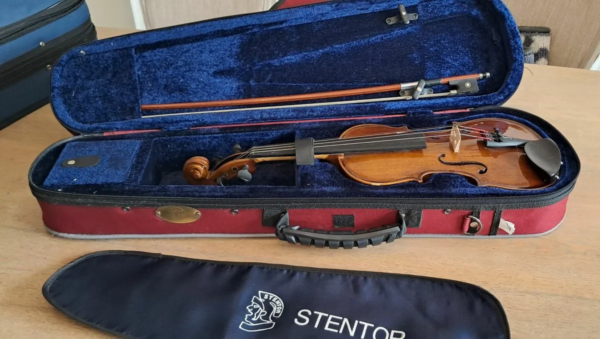 Violin 1/4 size Douglas Cork - Image 2