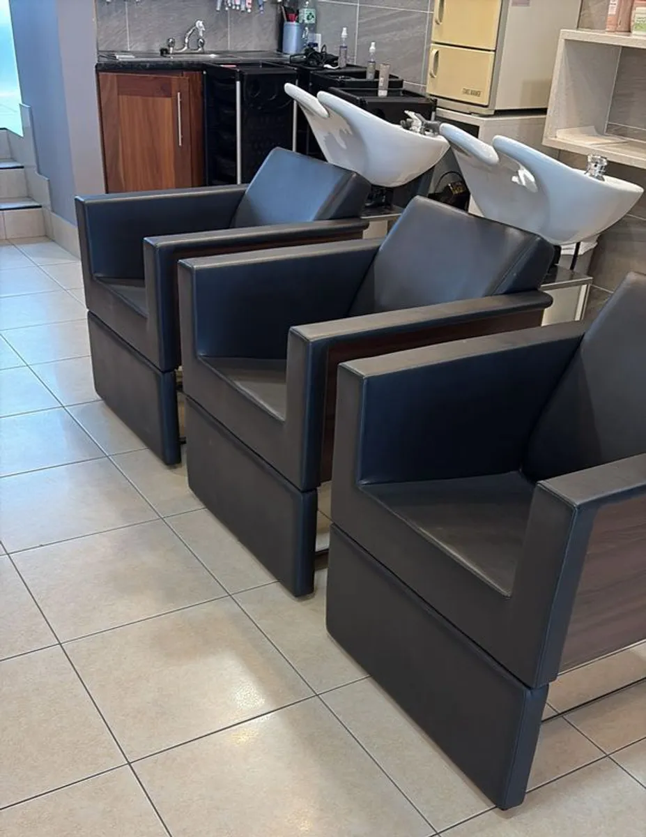 Hair Salon: Wellonda Powered Salon Seat/Basin units - Image 1