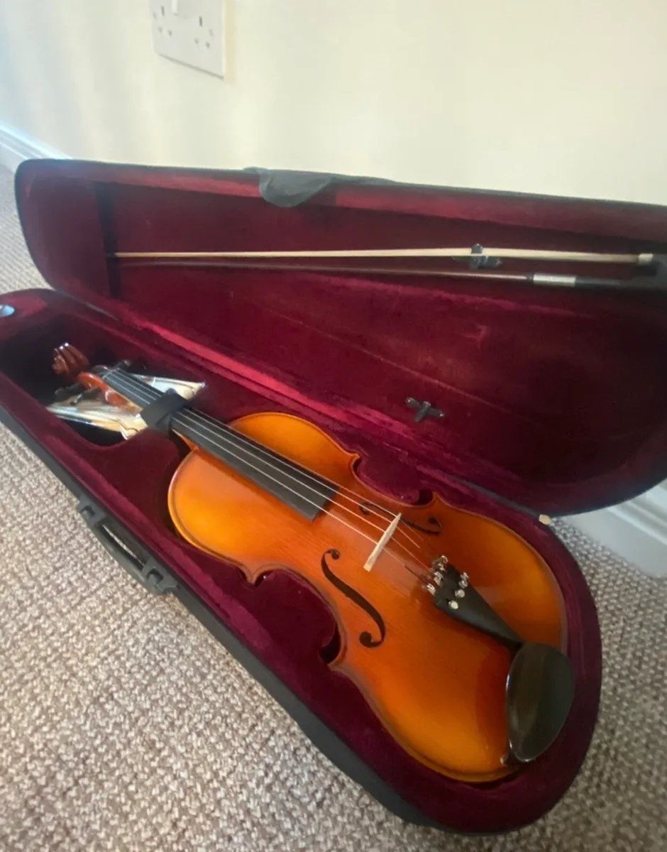 Gorgeous viola - Image 1
