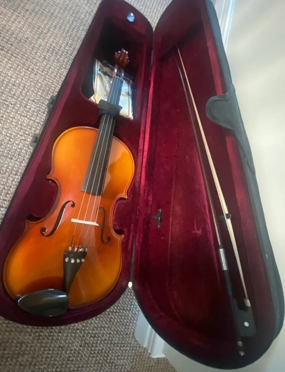 Gorgeous viola - Image 2