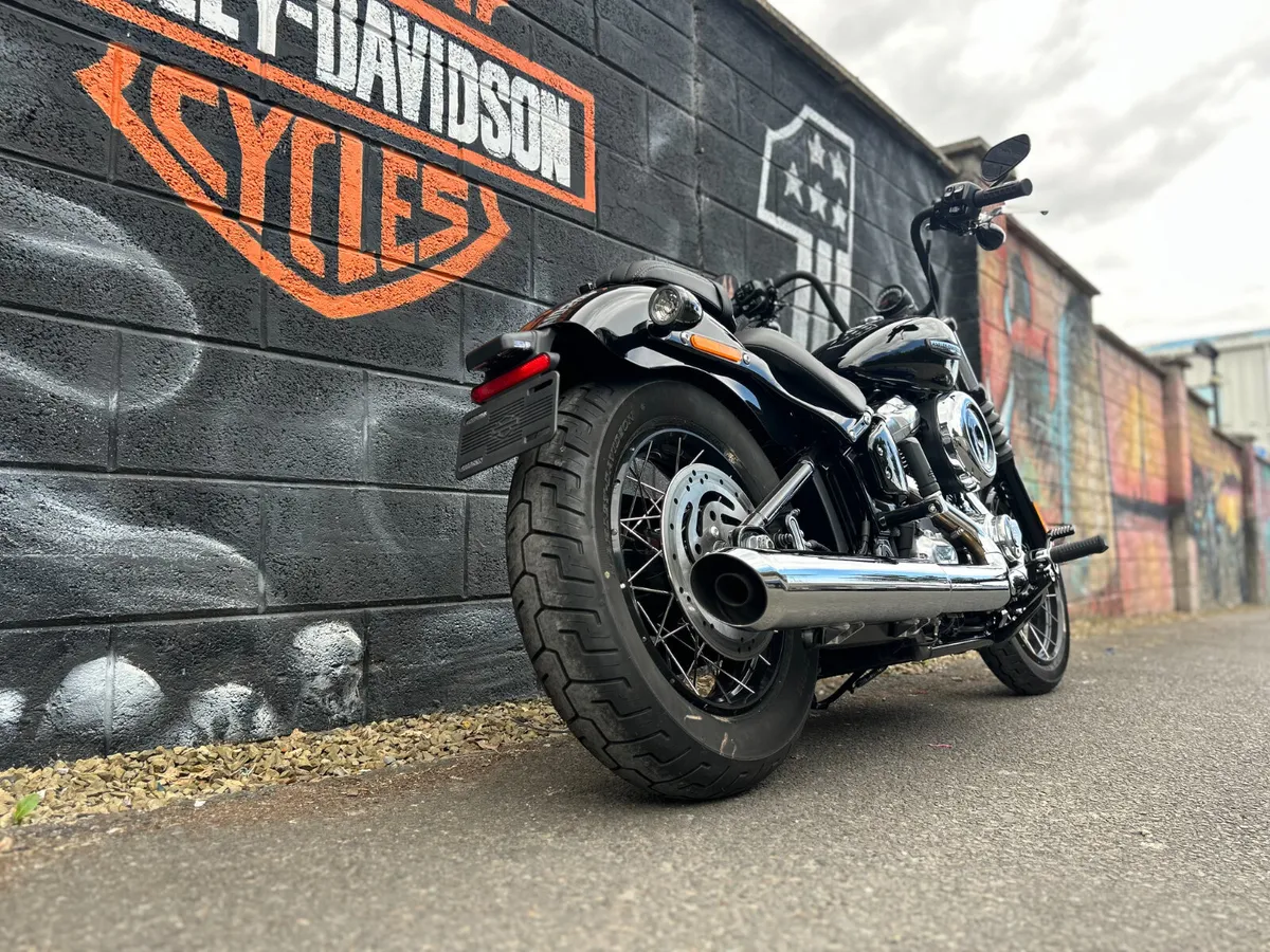 *Ex-Demo* 2025 HARLEY-DAVIDSON Streetbob 117 - Image 3