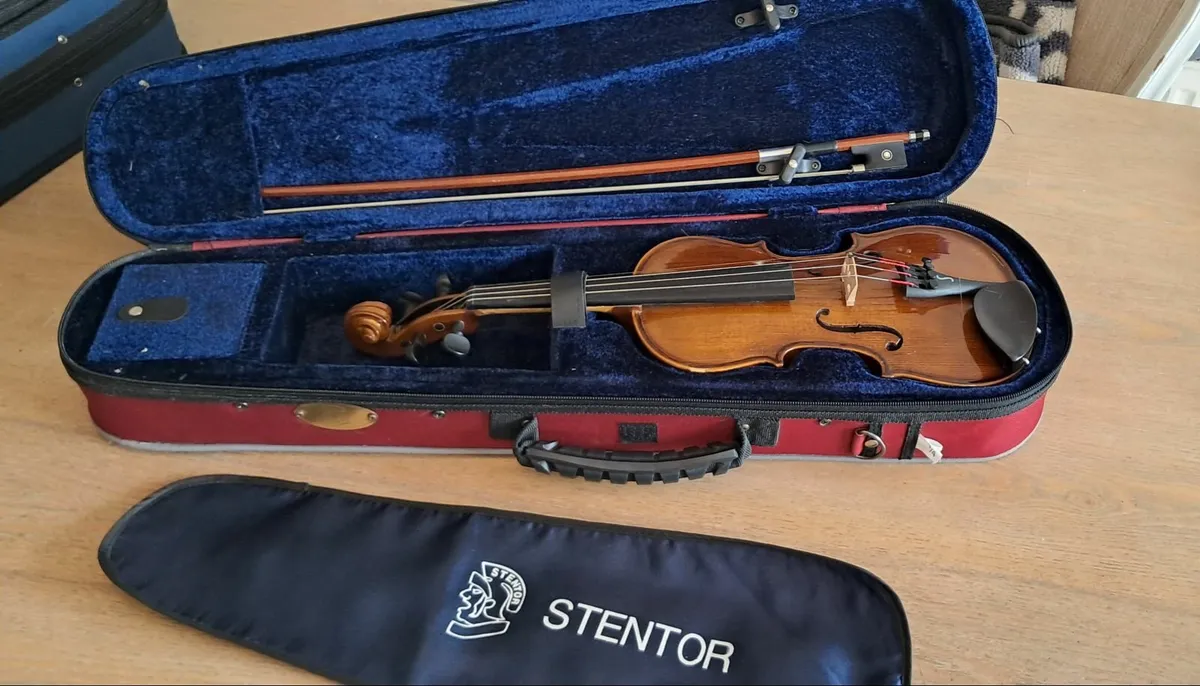 Violin 1/4 size Douglas Cork - Image 3