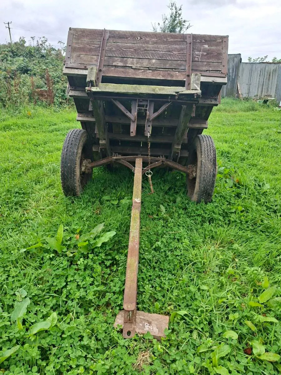 Thumbling cart trailer - Image 3