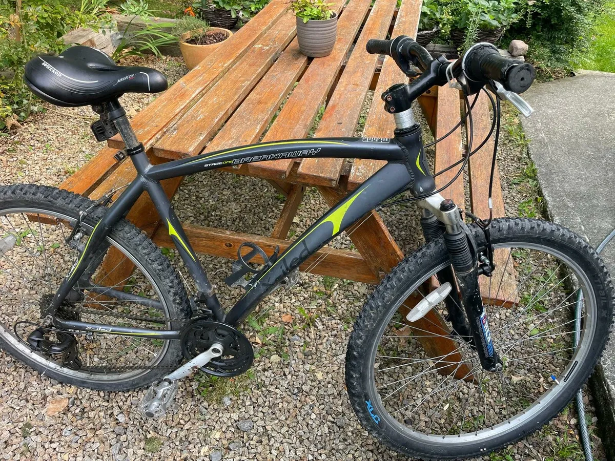 Bike - Image 1