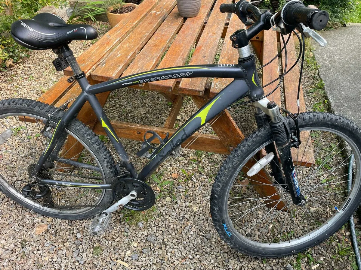 Bike - Image 2