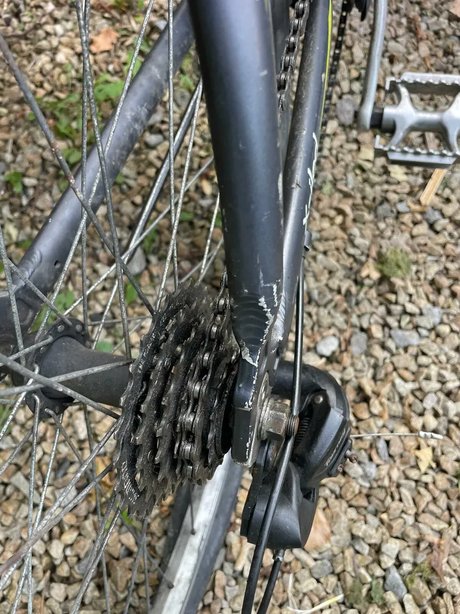Bike - Image 4