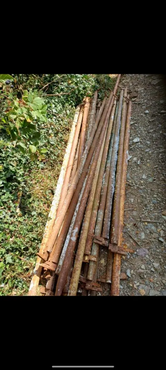 Scaffolding - Image 4