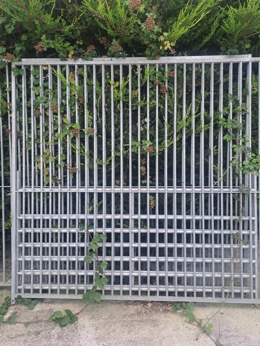 Dog pen