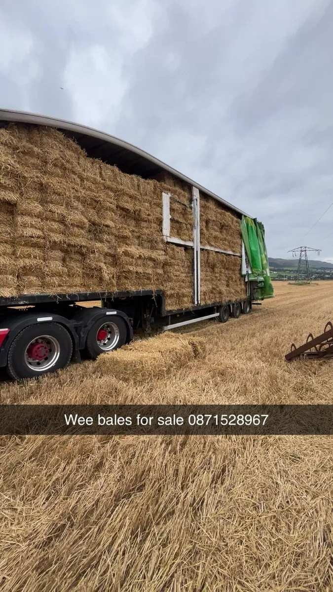 Wee bales of straw