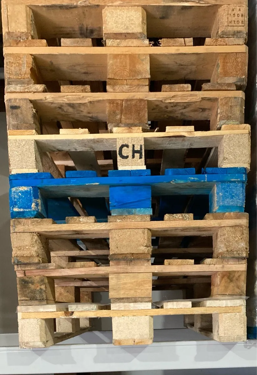 Dry Stored Pallets - Image 2