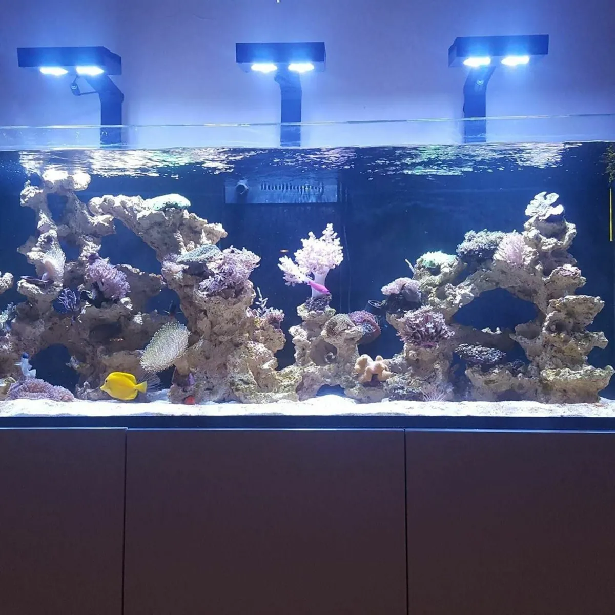 Aqua Roche Aquarium Rock 3 pieces left 60 euros - Image 1