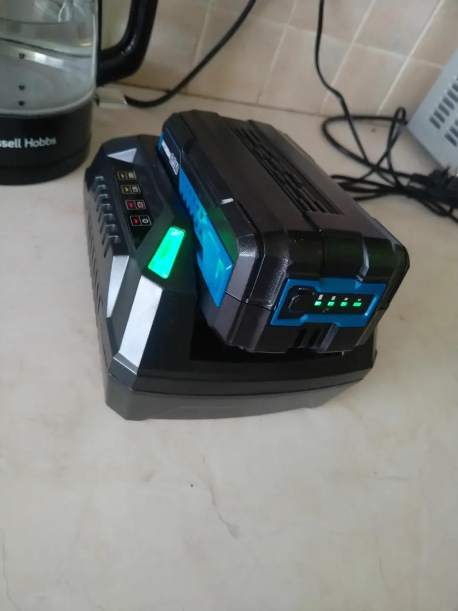 Hyundai battery +charger - Image 1