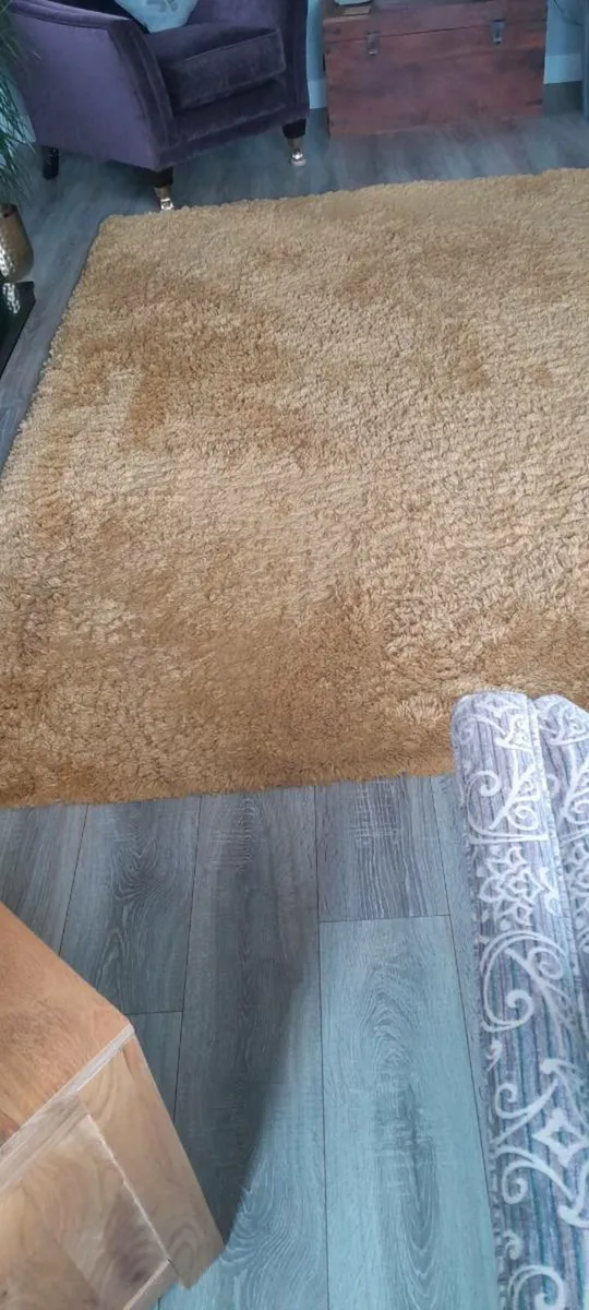 Large Rug - Image 2