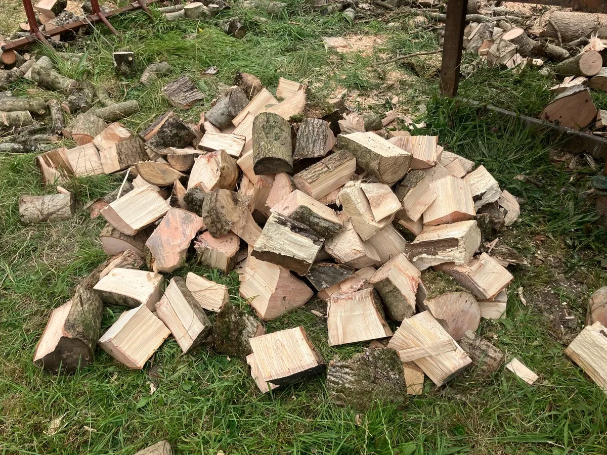 Hardwood Ash Timber - Image 1