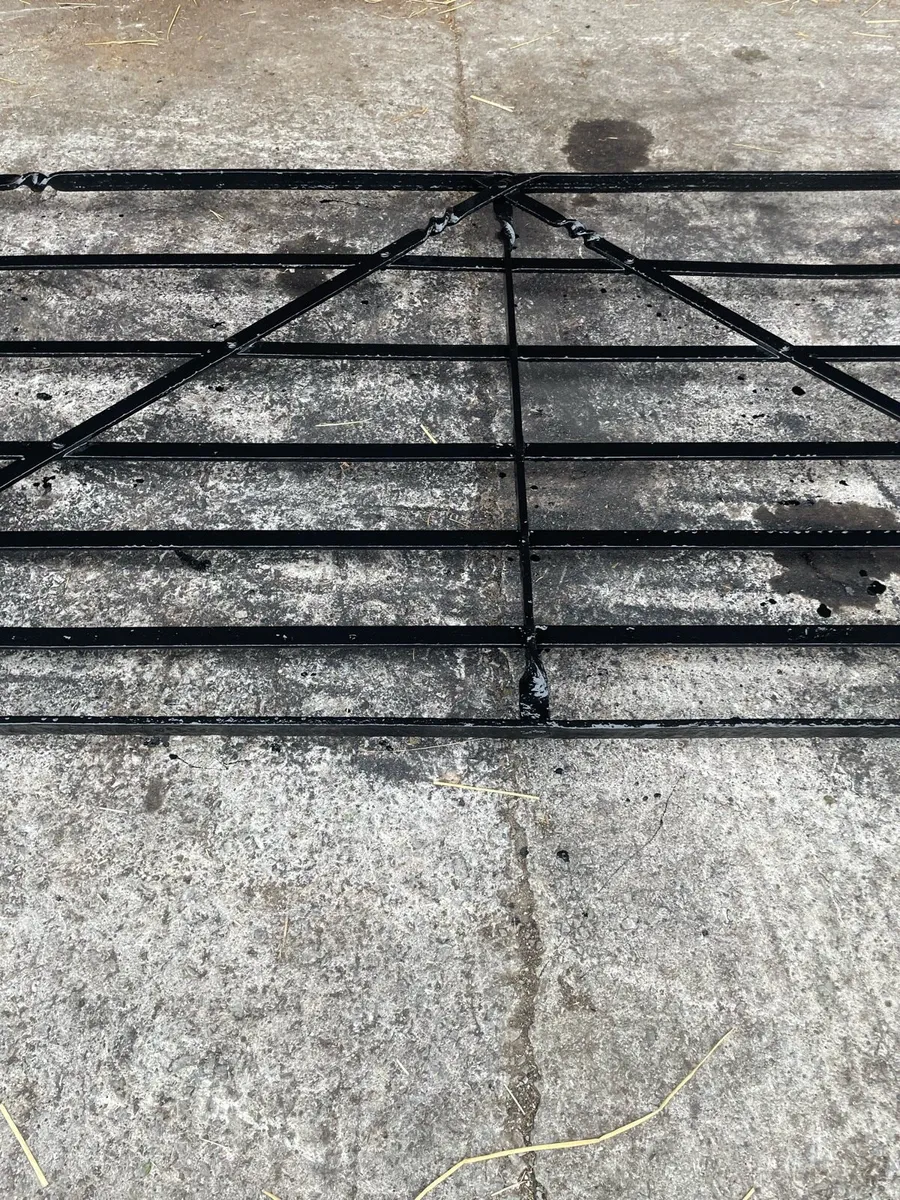 Iron gate - Image 1