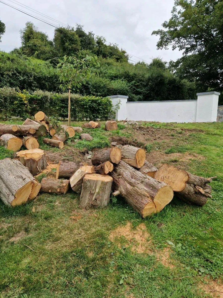 Fire wood trees