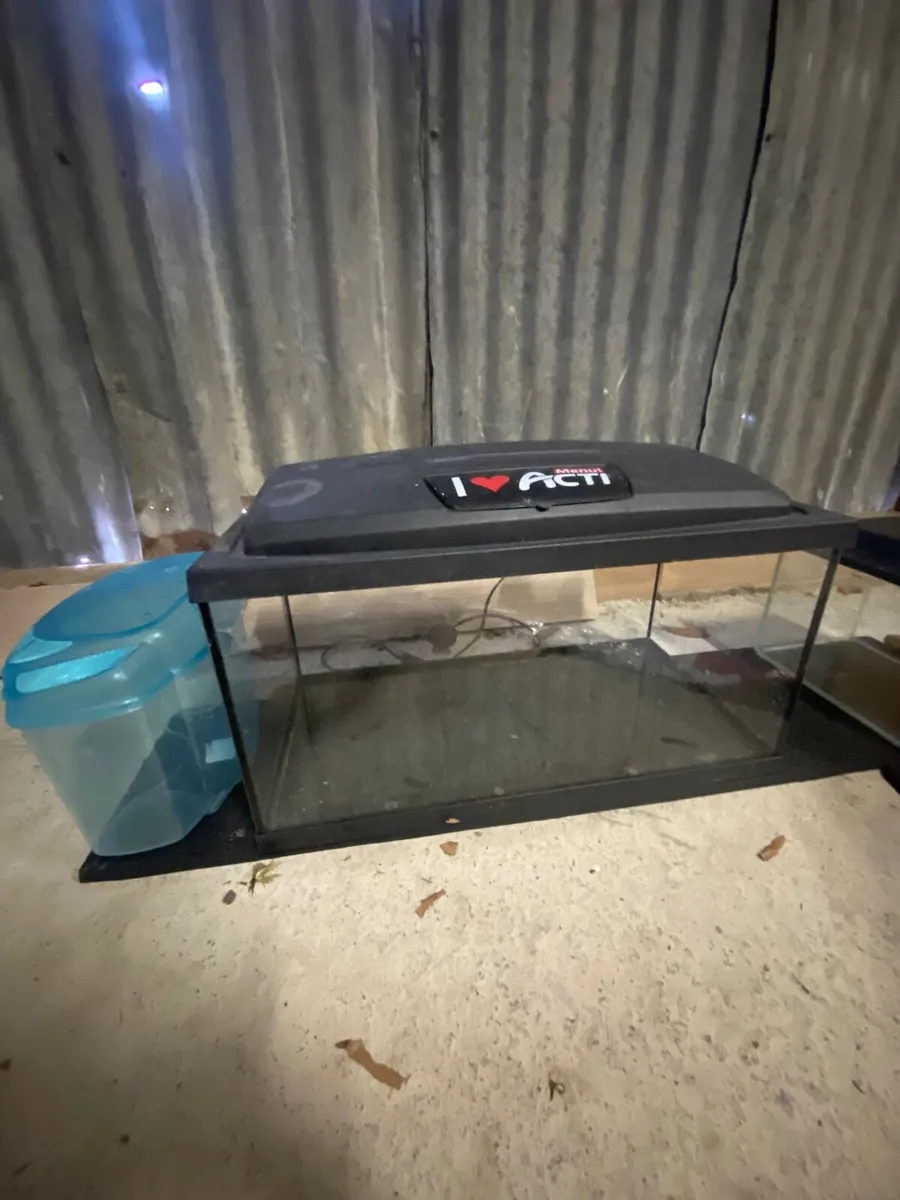Fish tanks - Image 2