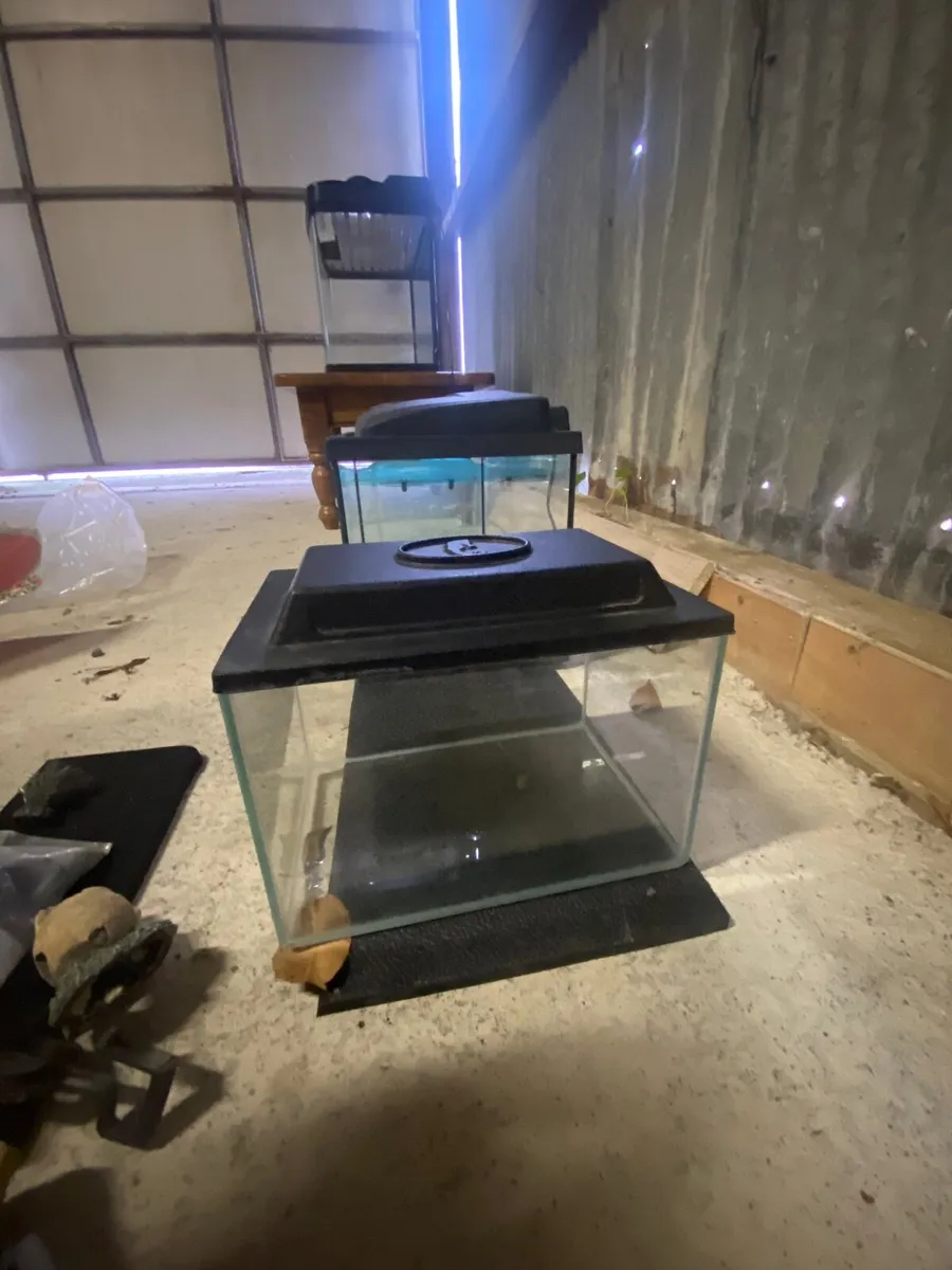 Fish tanks - Image 3