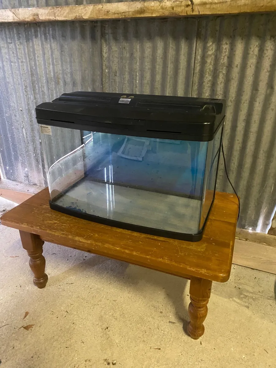 Fish tanks - Image 1