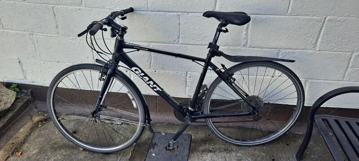 Giant bike
