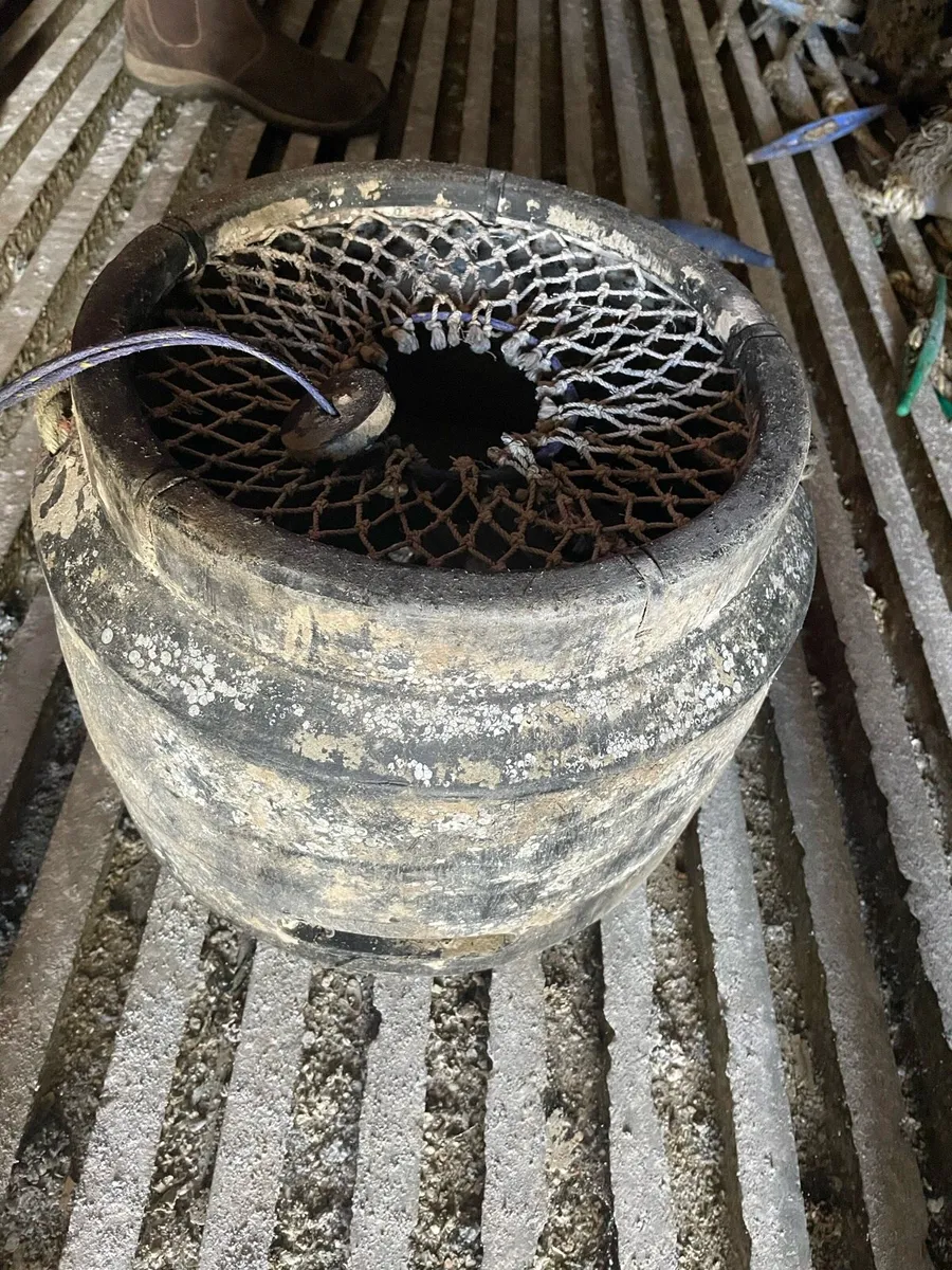 Whelk pots - Image 4