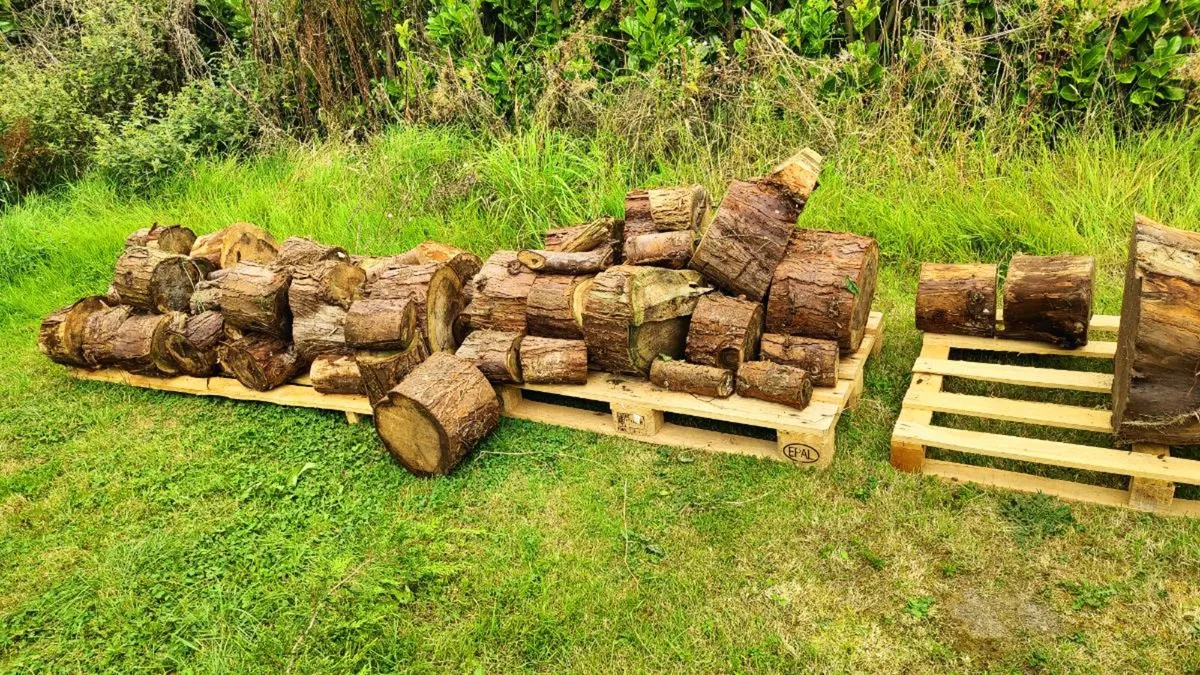 Timber/Logs/Firewood - Image 1